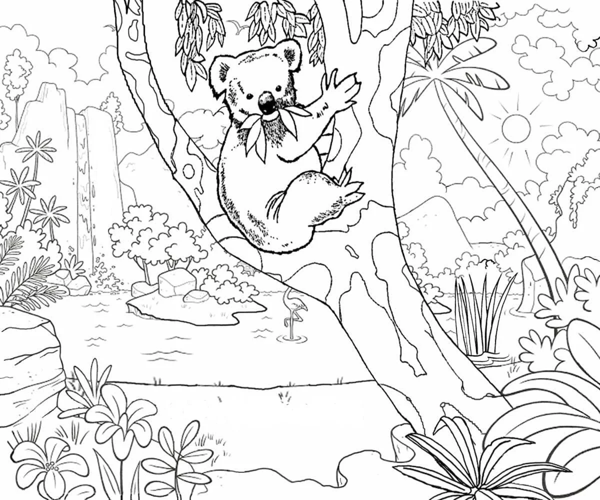Desenhos de Australia Para Colorir 23