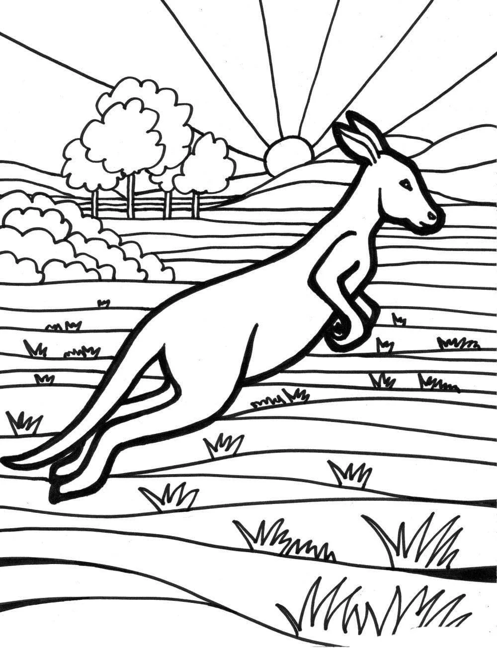 Desenhos de Australia Para Colorir 35
