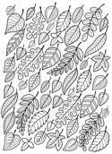 Hojas Otono Para Colorear 43