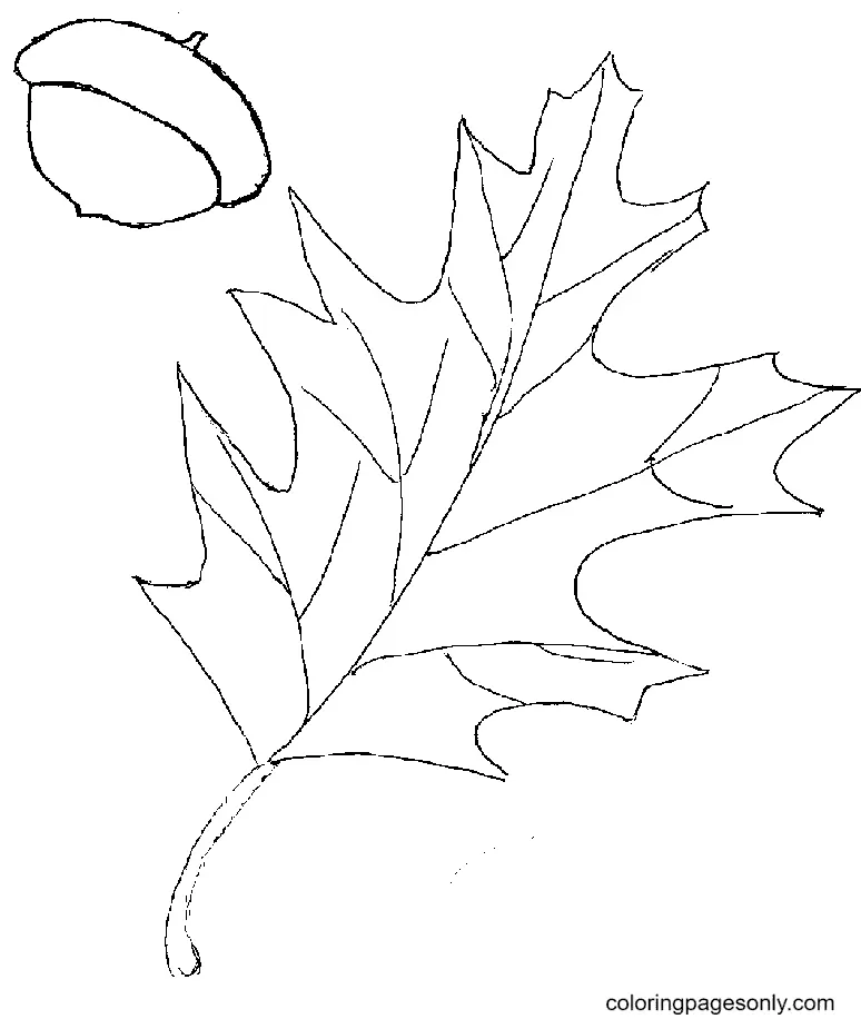 Hojas Otono Para Colorear 49