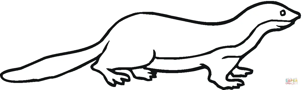 Badgers coloring pages 30