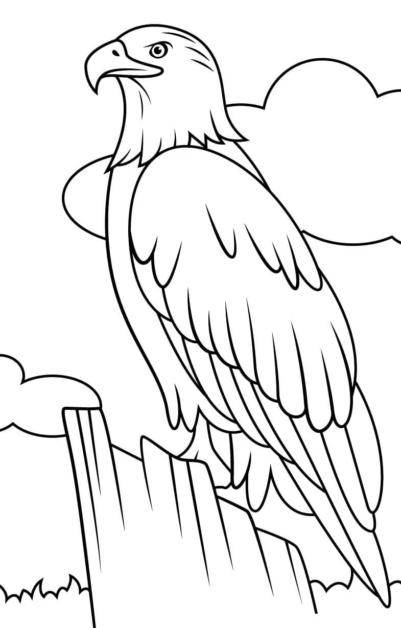 Desenhos de Aguia Careca Para Colorir 32