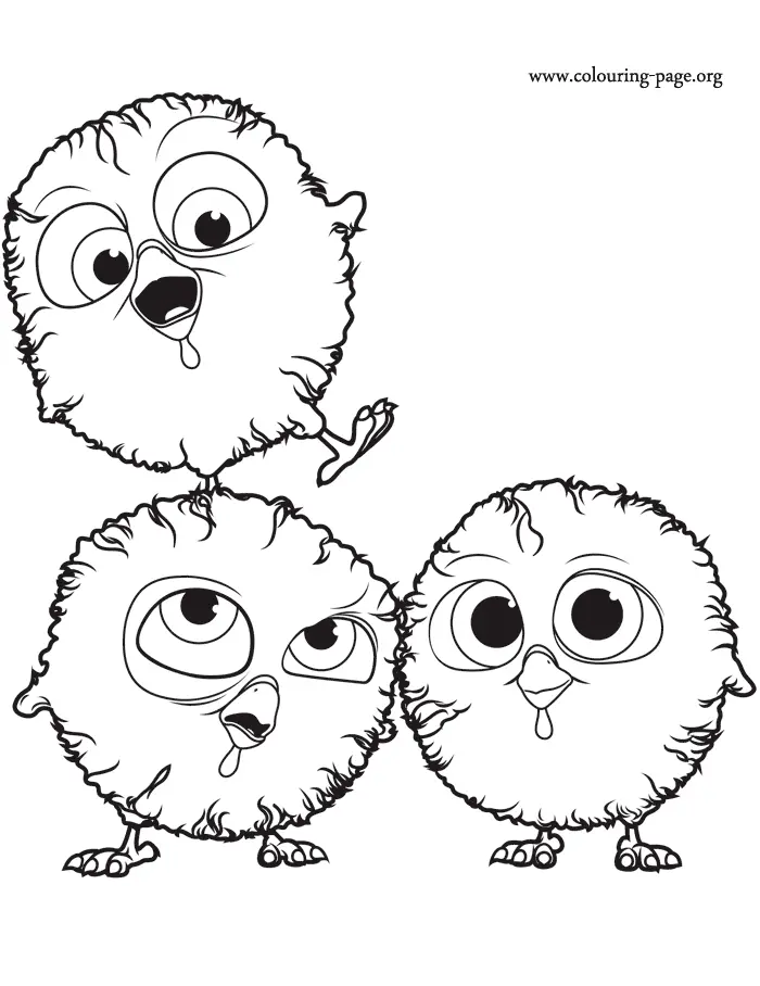 Bird Coloring Pages 44
