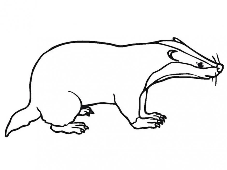 Bird Coloring Pages 59