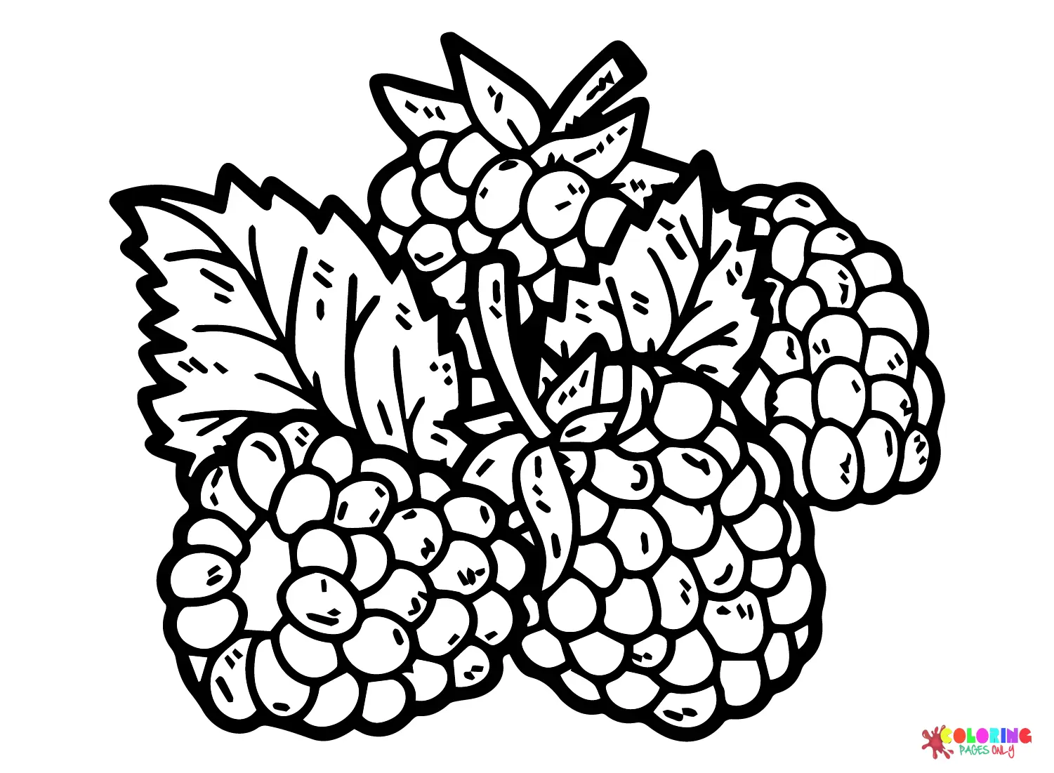 Moras Para Colorear 22