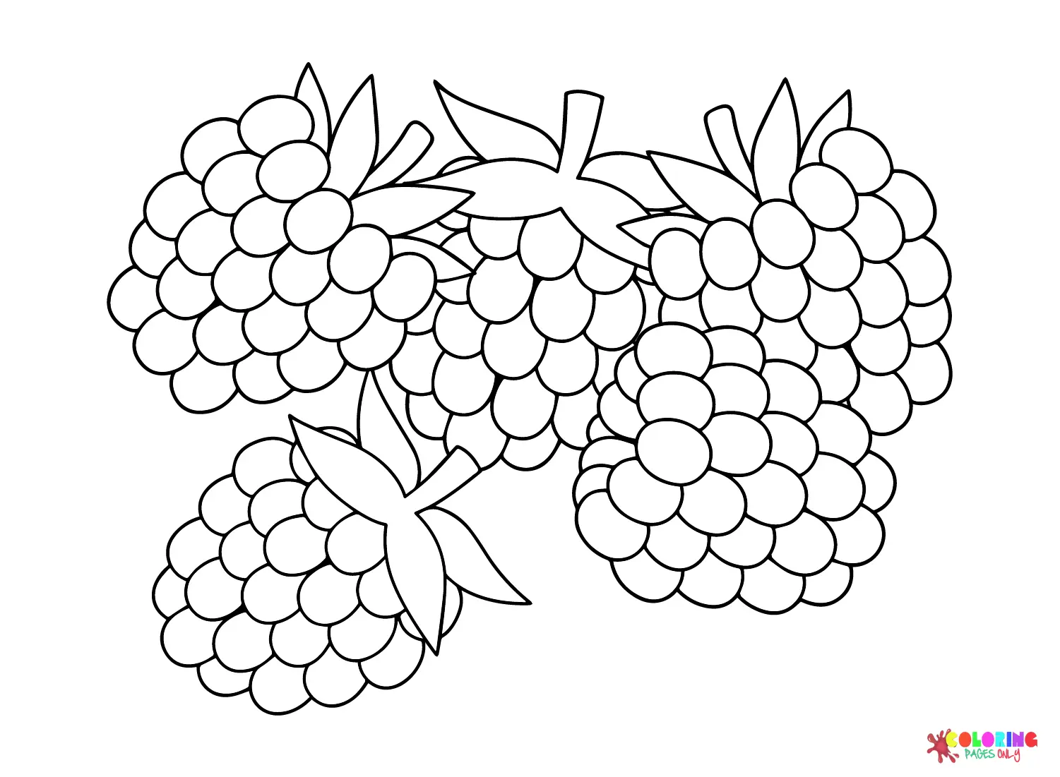Moras Para Colorear 4