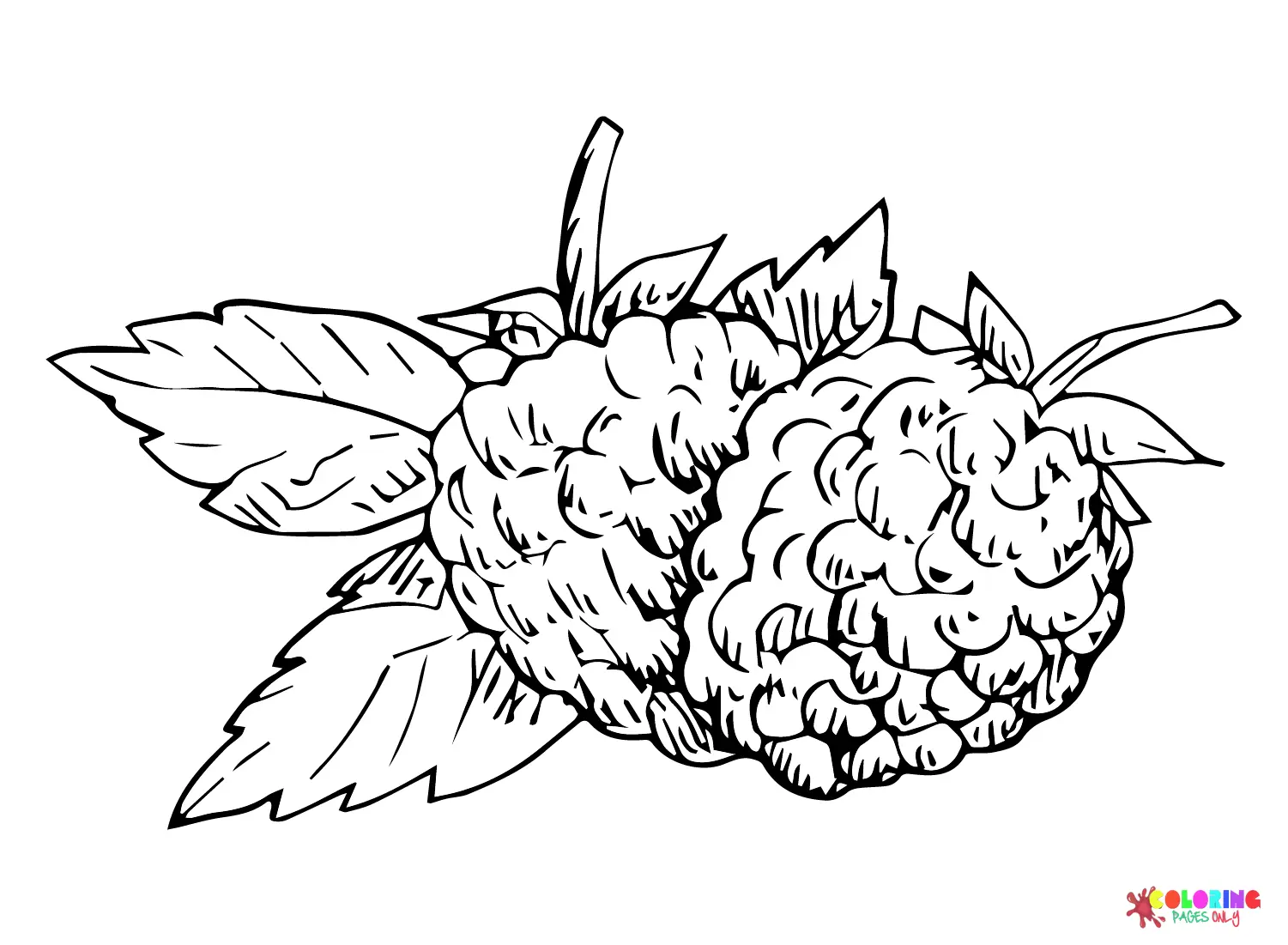 Moras Para Colorear 9