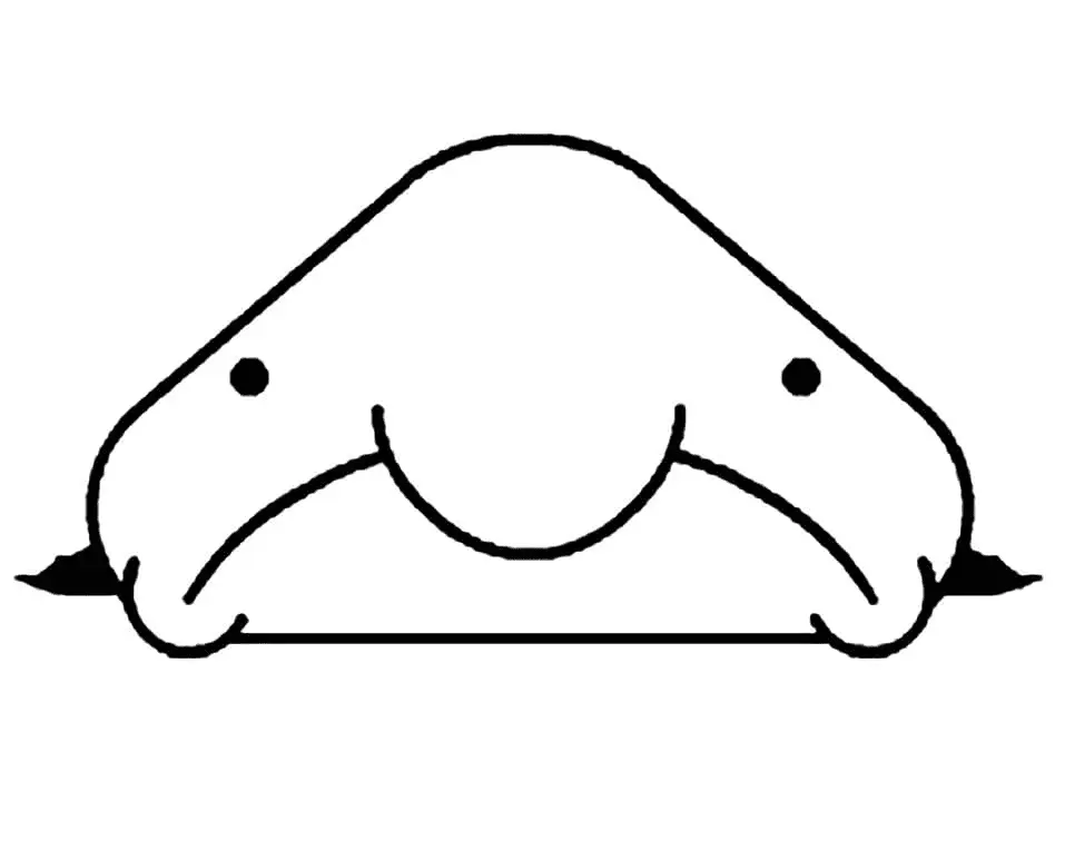 Blobfish Coloring Pages 17