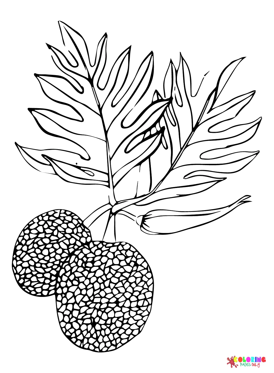 Brotfrucht Ausmalbilder 20