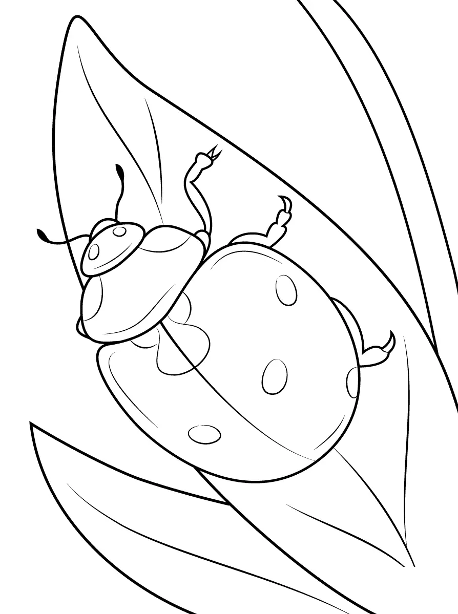 Bugs Coloring Pages 31