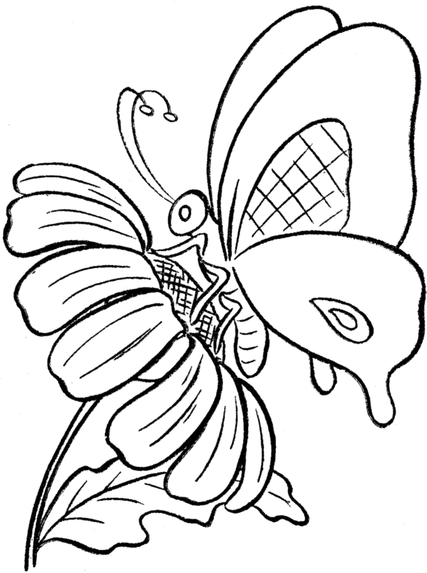 Mariposas Para Colorear