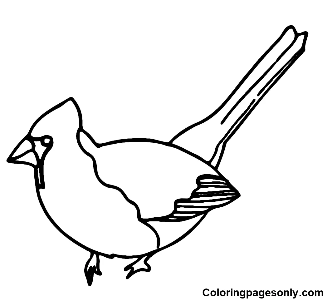 Desenhos de Cardeal Para Colorir 21