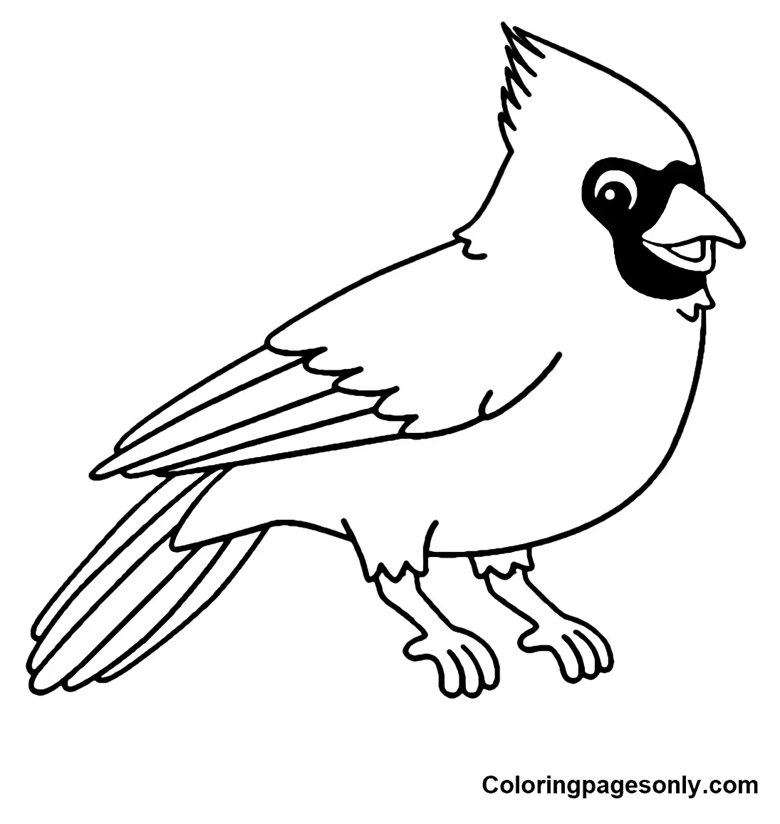 Desenhos de Cardeal Para Colorir 3