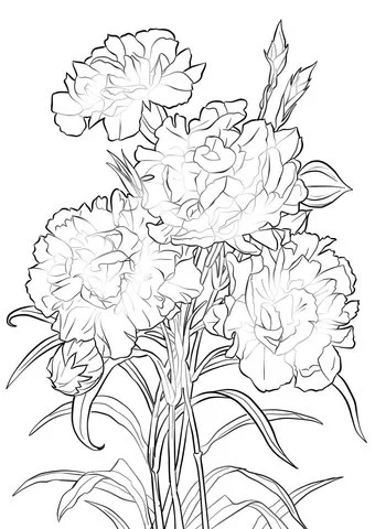 Desenhos de Cravos Para Colorir 4