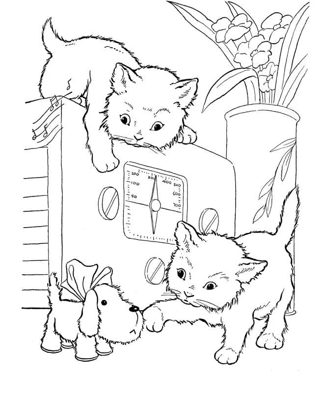 Katze Ausmalbilder 13