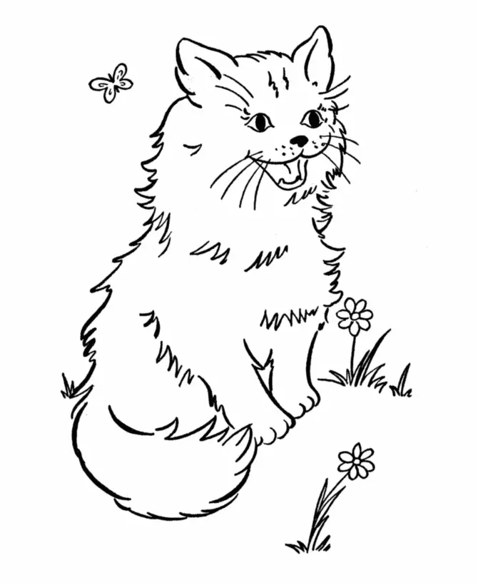 Katze Ausmalbilder 14