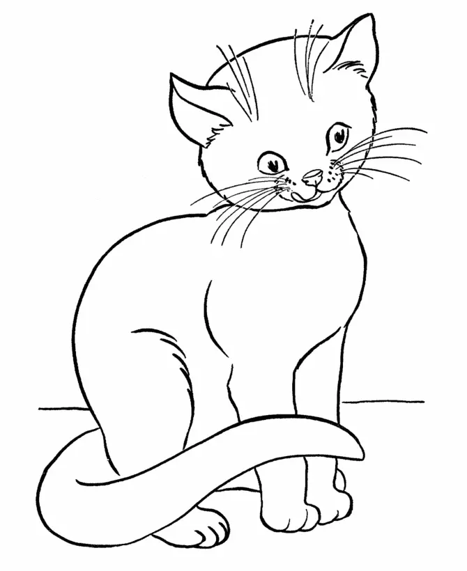 Katze Ausmalbilder 17