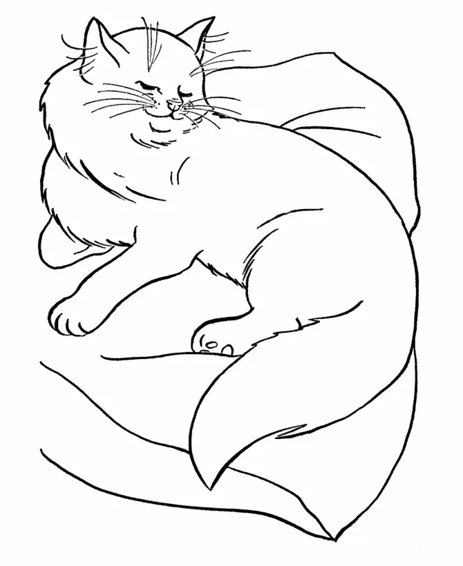 Katze Ausmalbilder 18