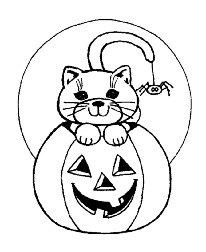 Katze Ausmalbilder 21