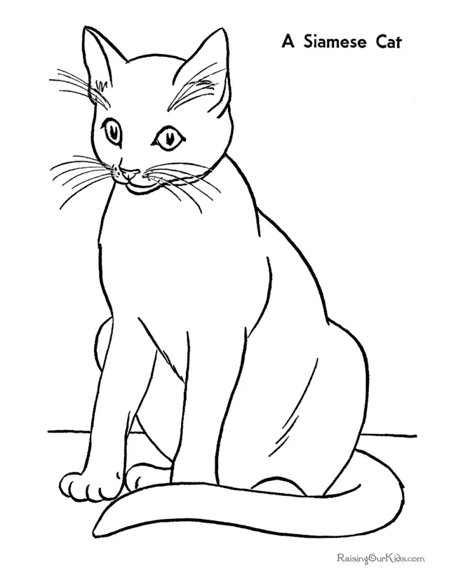 Katze Ausmalbilder 34