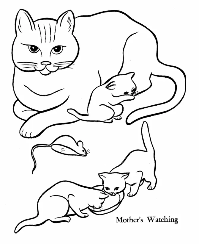 Katze Ausmalbilder 41