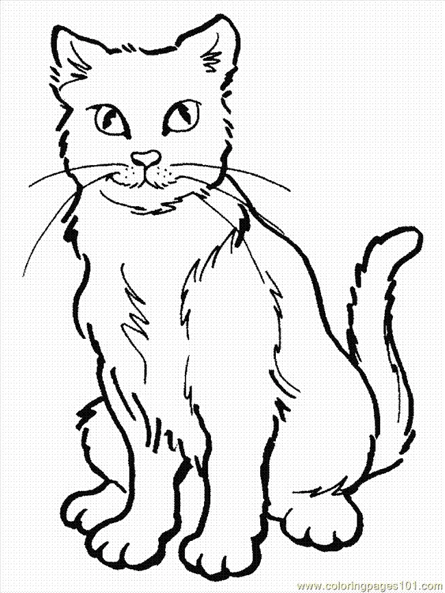 Katze Ausmalbilder 8