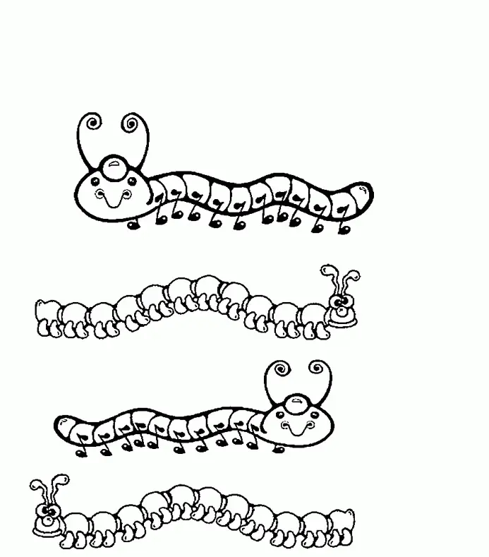 Raupe Ausmalbilder