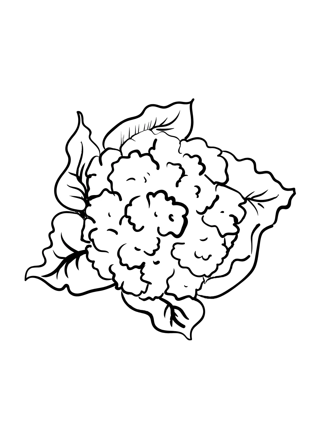 Cauliflower Coloring Pages 9