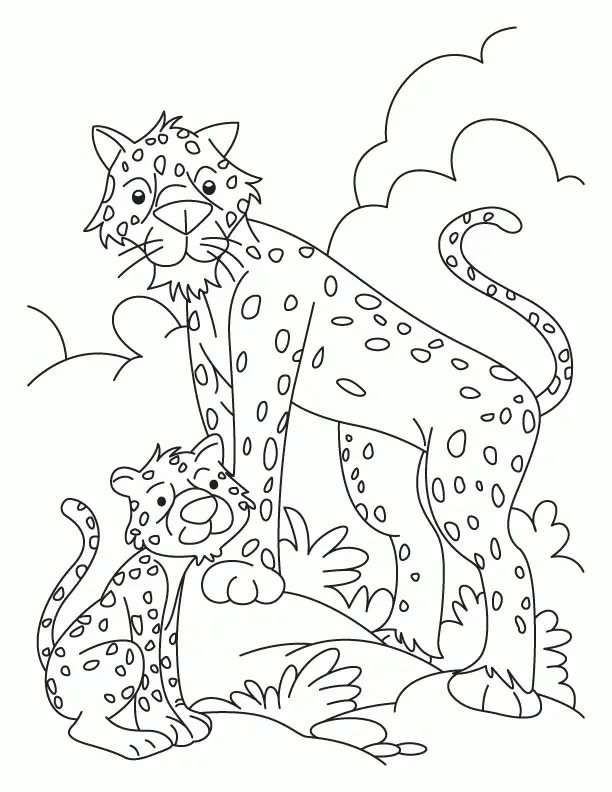 Desenhos de Chita Para Colori 24