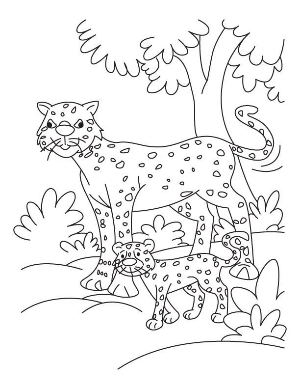 Desenhos de Chita Para Colori 44