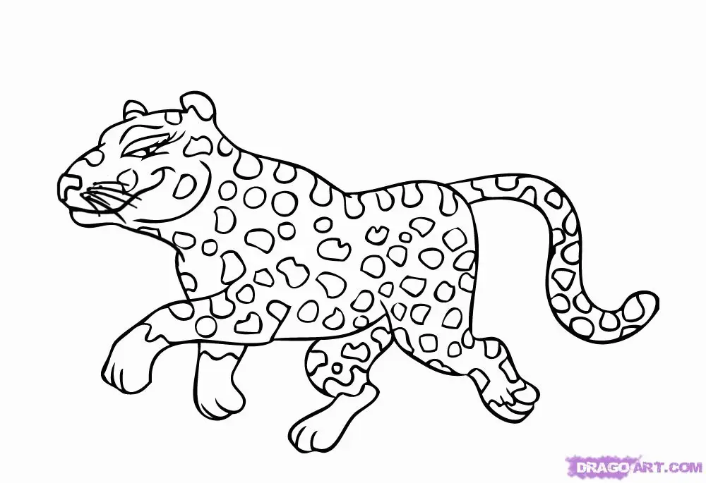 Desenhos de Chita Para Colori 75