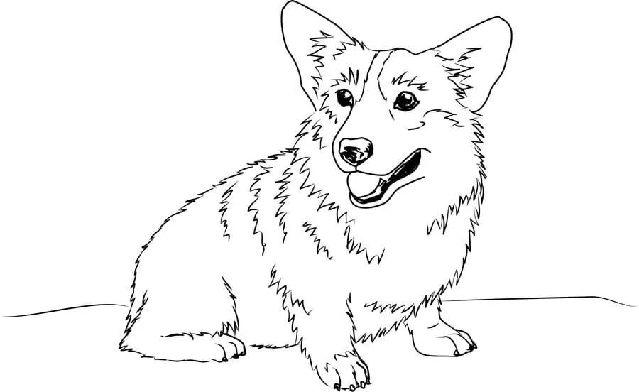 Corgi Ausmalbilder 11