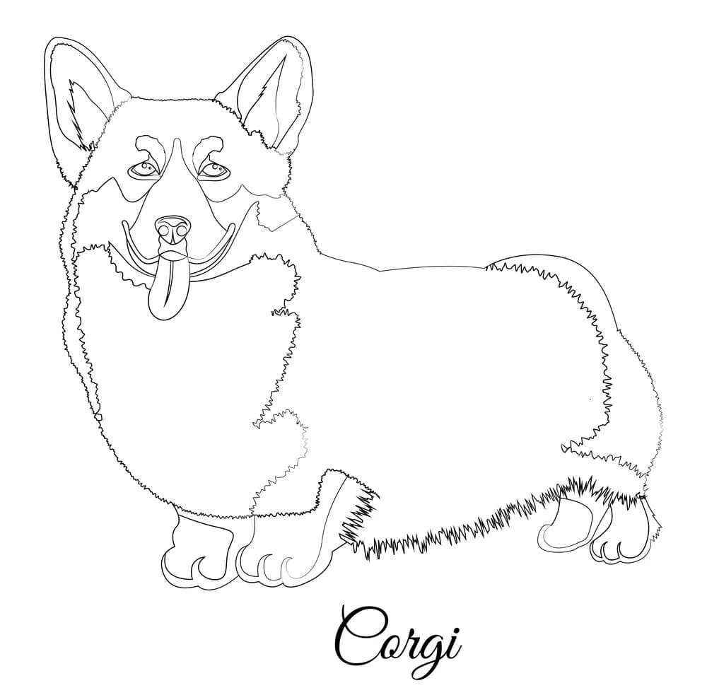 Corgi Ausmalbilder 4