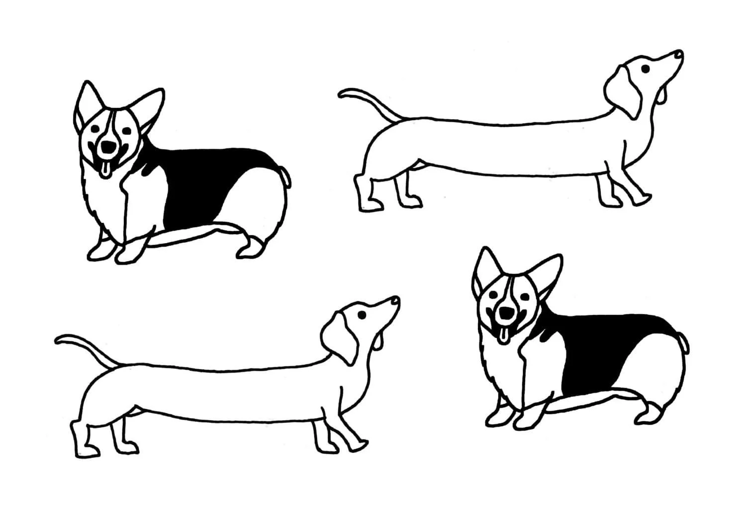 Corgi Ausmalbilder 62