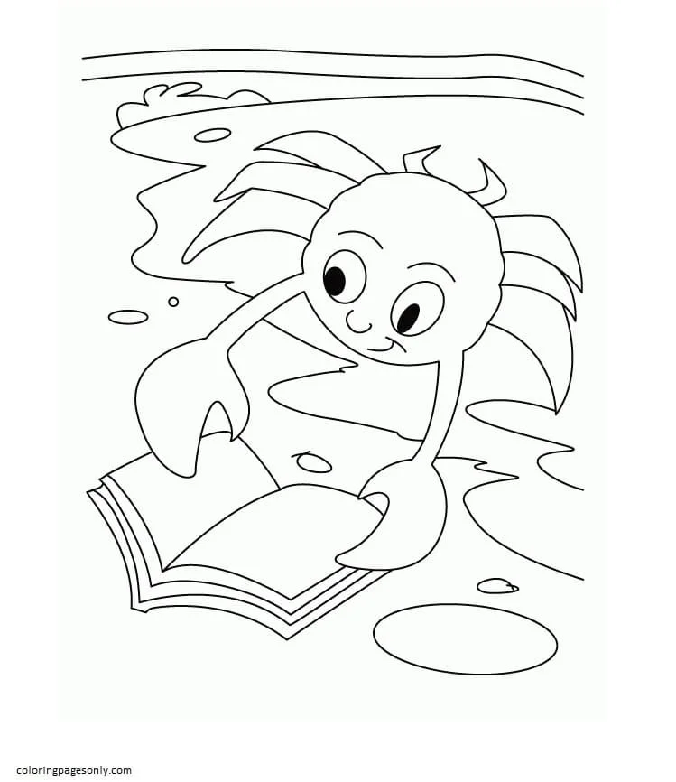 Desenhos de Caranguejo Para Colorir