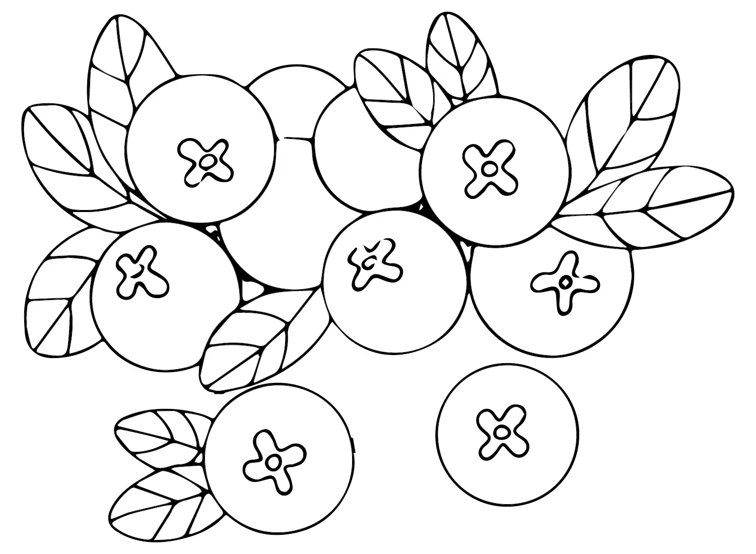 Cranberry Ausmalbilder 14