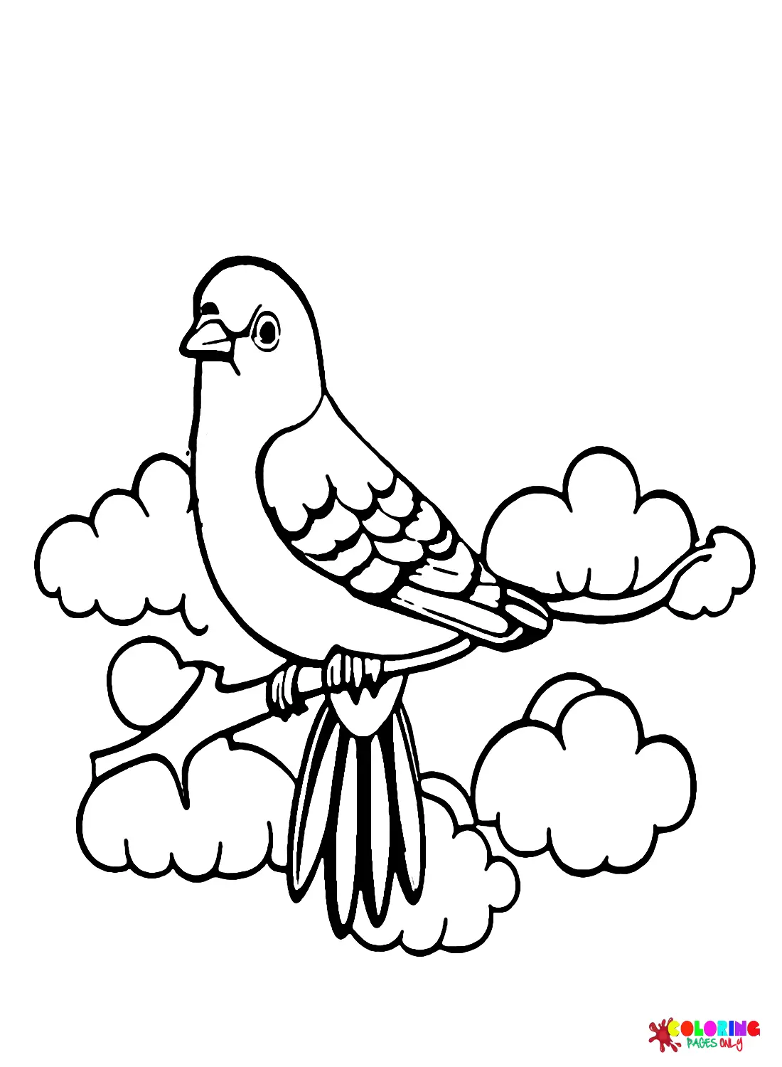 Kuckuck Ausmalbilder 2