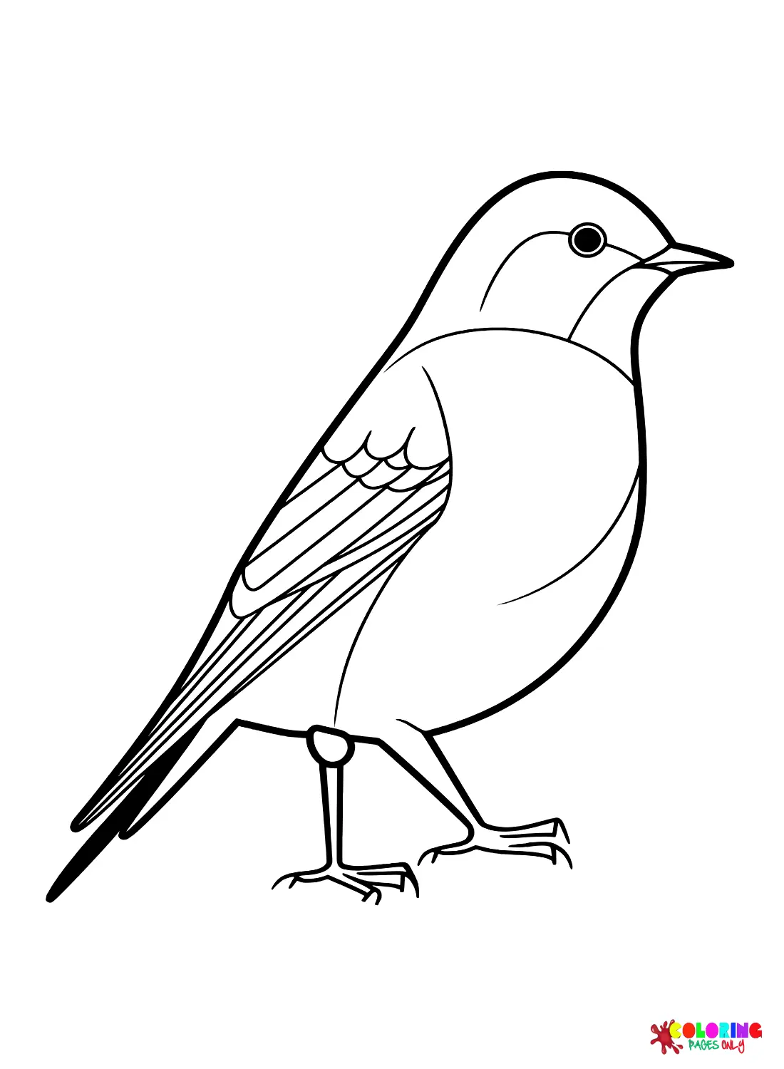 Kuckuck Ausmalbilder 7