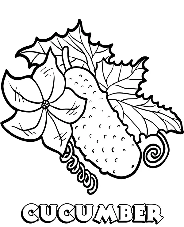 Pepino Para Colorear 1