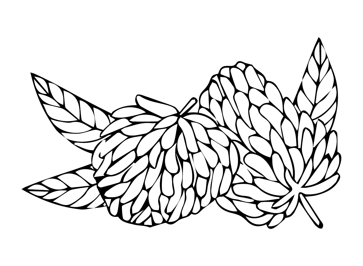 Custard Apple Coloring Pages 13