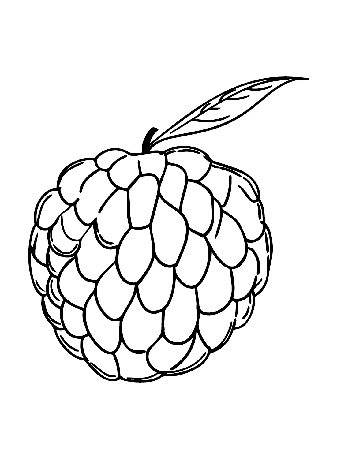 Custard Apple Coloring Pages 14