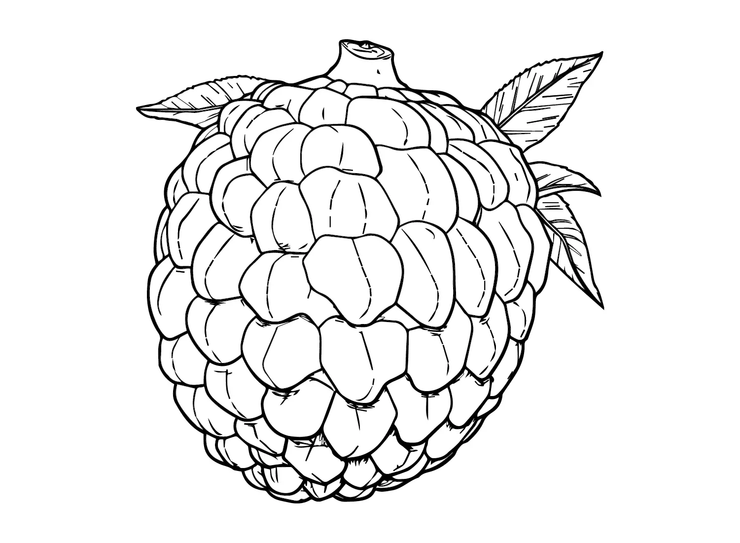 Custard Apple Coloring Pages 17