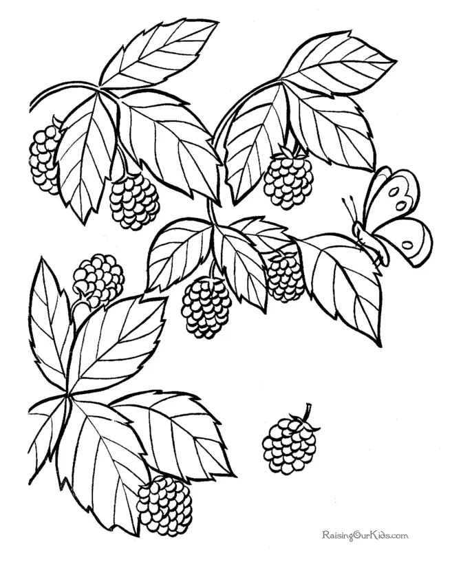 Cute Fruit Coloring Pages 30