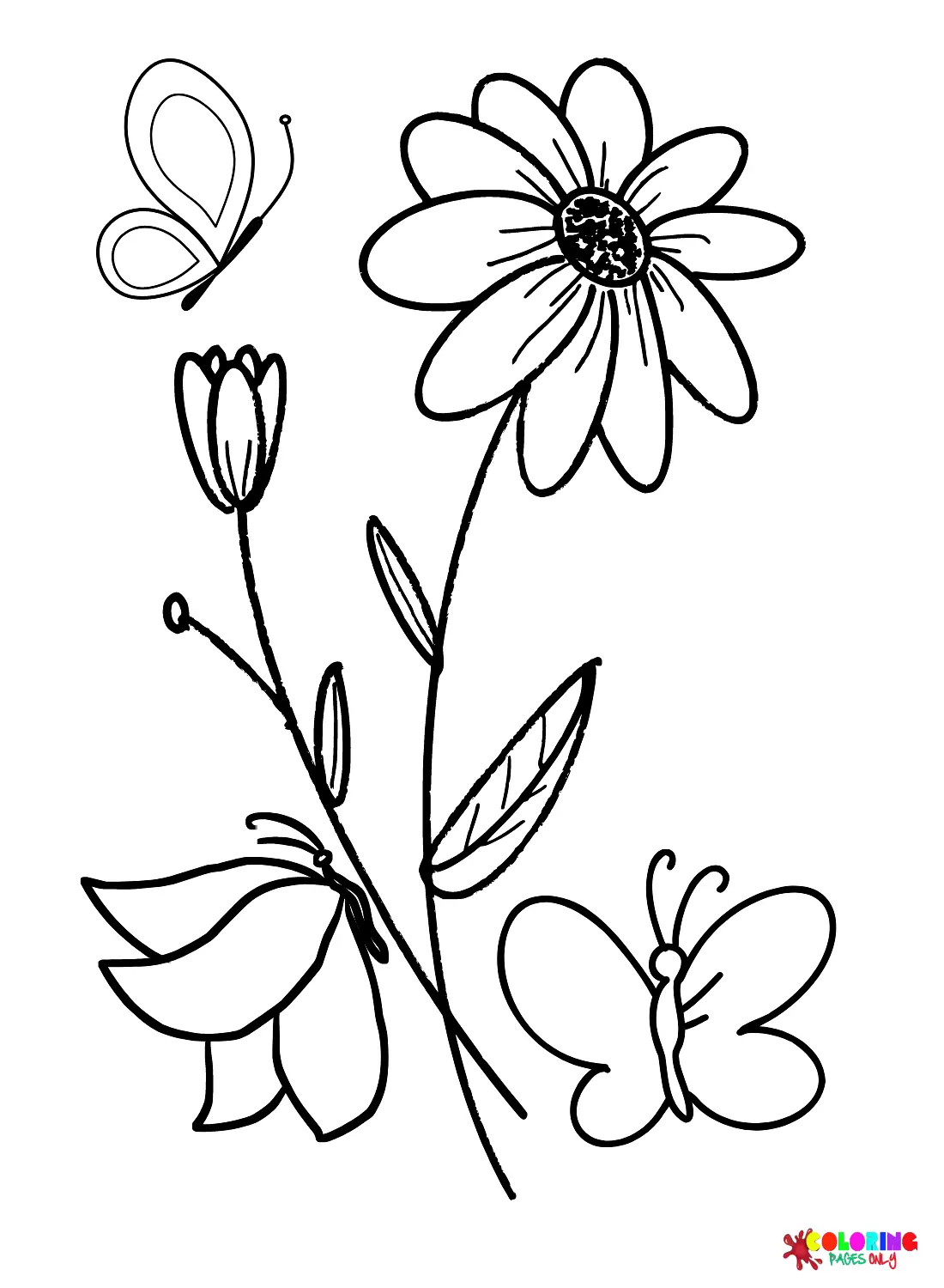 Gänseblümchen Ausmalbilder