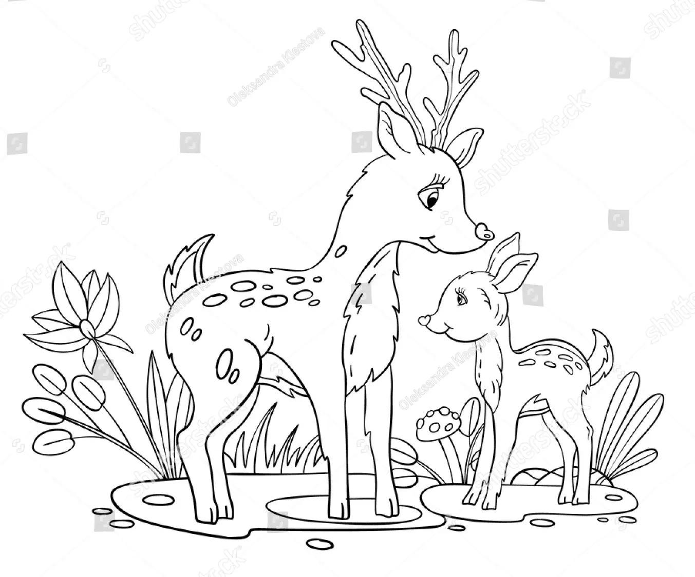 Reh Ausmalbilder 45