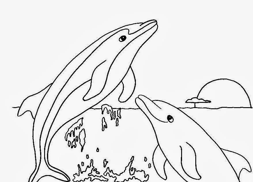 Dolphin Coloring Pages 102