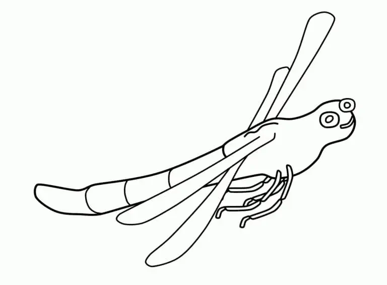 Dragonfly Coloring Pages 32
