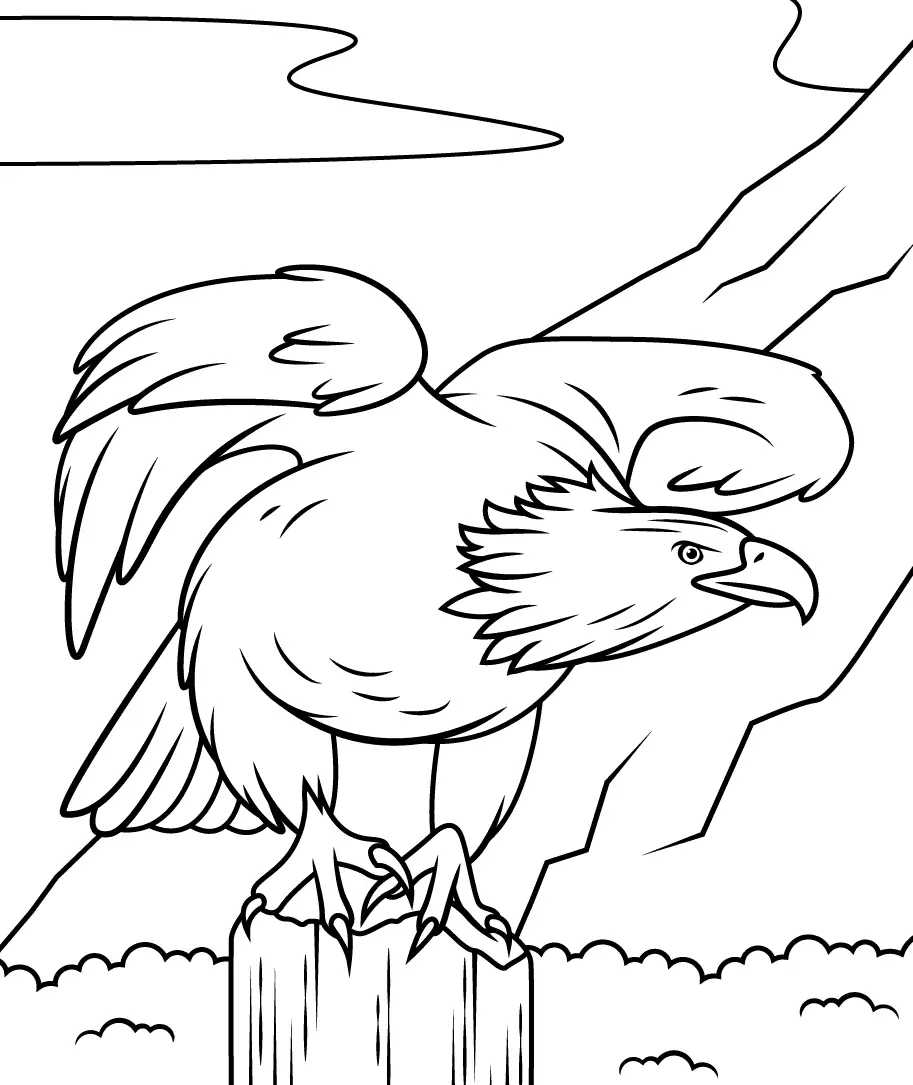 Adler Ausmalbilder 24