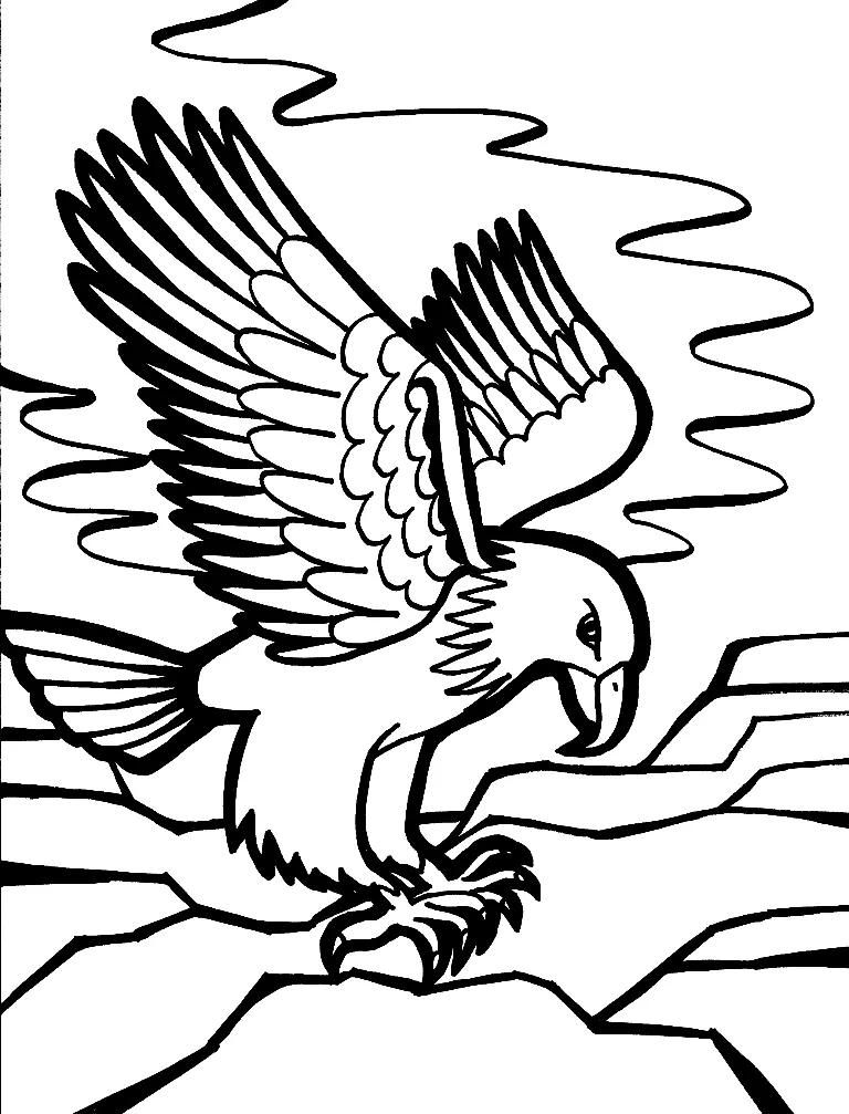 Adler Ausmalbilder 26
