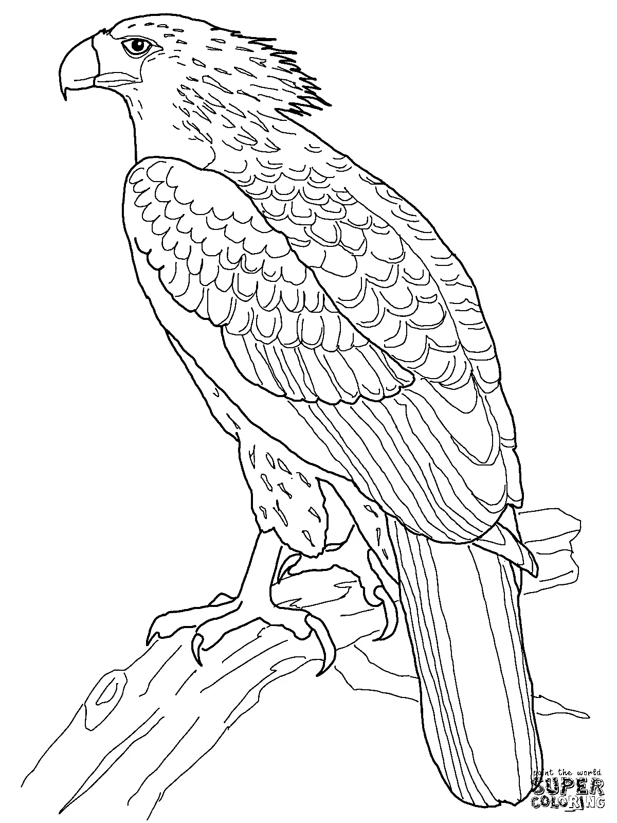 Adler Ausmalbilder 32